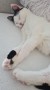 NIna_Chapi (2)